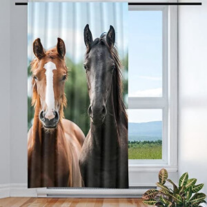 Rideaux Cheval multicolore . 117x138 cm