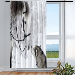 Rideaux Cheval multicolore . 117x138 cm