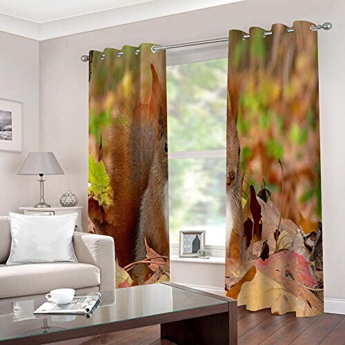 Rideaux Écureuil ??//?? 2x220 cm variant 0 