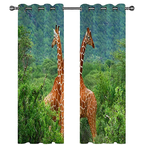 Rideaux Girafe occultants 264x210 cm variant 2 